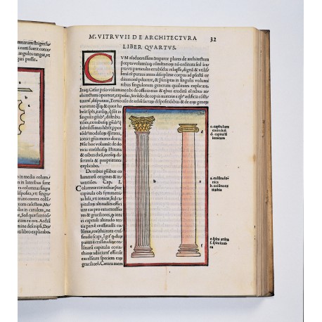 "The Corinthian column appears more slender than the Ionic" (folio D8 recto, page dimensions 290 × 210 mm)